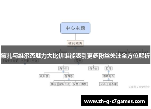 蒙扎与维尔杰魅力大比拼谁能吸引更多粉丝关注全方位解析