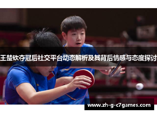王楚钦夺冠后社交平台动态解析及其背后情感与态度探讨